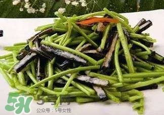 蘆蒿怎么摘？蘆蒿怎么擇