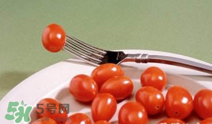 圣女果是什么？圣女果是西紅柿嗎