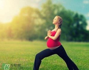 孕婦能吃雞精嗎？孕婦能吃雞精和味精嗎？