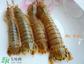 蝦爬子能放多久？蝦爬子怎么保存時(shí)間長？