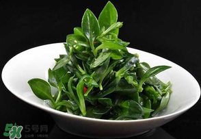 冰草是田七嗎？冰草和田七一樣嗎？
