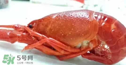 蝦子哪些部位不能吃？蝦子哪些地方不能吃