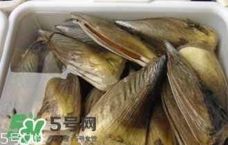 青口貝如何清洗？青口貝怎么處理