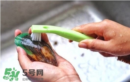 青口貝如何清洗？青口貝怎么處理