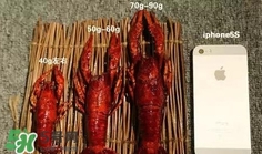 蝦子怎么吃？蝦子的吃法