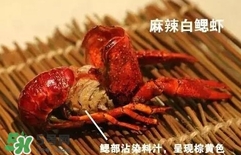 蝦子怎么吃？蝦子的吃法