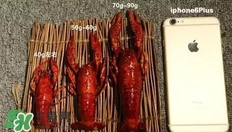 蝦子怎么吃？蝦子的吃法
