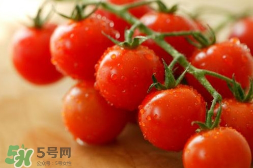 小番茄怎么洗？小番茄怎么清洗