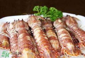 蝦爬子是寒性的嗎？蝦爬子是熱性的還是寒性的？