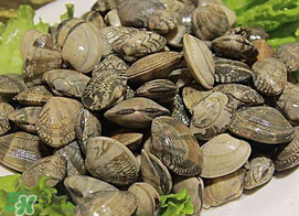 蜆子不能和什么一起吃？吃蜆子不能吃什么？