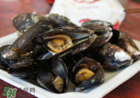淡菜什么時(shí)候最肥？淡菜什么時(shí)候吃最好？