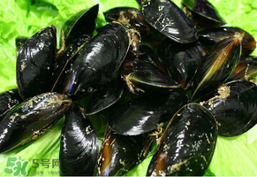 哪些人不適合吃淡菜？淡菜什么人不能吃？