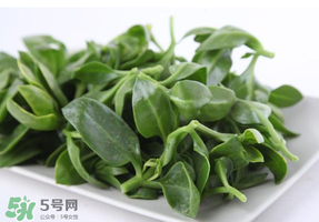冰菜和穿心蓮是同一種菜嗎？冰菜和穿心蓮是一科嗎？