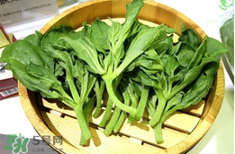 冰菜孕婦能吃嗎？孕婦能不能吃冰菜？