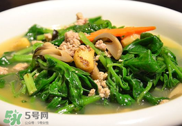冰菜孕婦能吃嗎？孕婦能不能吃冰菜？