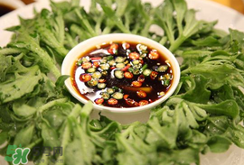 冰菜怎么涼拌？冰菜可以用沙拉醬拌嗎？