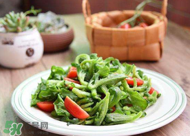 冰菜怎么涼拌？冰菜可以用沙拉醬拌嗎？