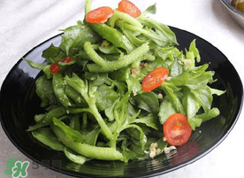 冰菜怎么涼拌？冰菜可以用沙拉醬拌嗎？