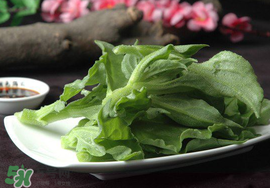 冰菜可以生吃嗎？冰菜能生吃嗎？