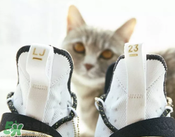 nike lebron 14怎么樣？耐克lebron 14測(cè)評(píng)