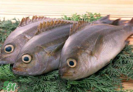 蠶豆和魚能一起吃嗎？蠶豆和魚吃相克嗎？