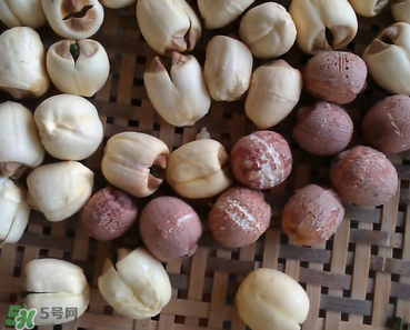 芡實(shí)不能和什么一起吃？芡實(shí)不能與什么同食？