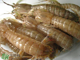 瀨尿蝦是皮皮蝦嗎？瀨尿蝦和皮皮蝦的區(qū)別