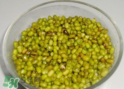 煮綠豆湯綠豆要泡嗎？煮綠豆湯綠豆要不要泡