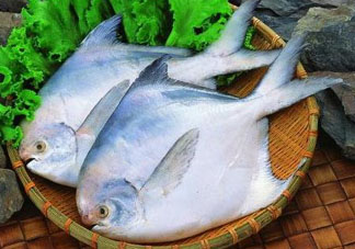蠶豆和魚能一起吃嗎？蠶豆和魚吃相克嗎？