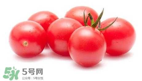 怎樣種植小番茄？小番茄怎么種