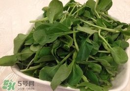 雞毛菜怎么做？雞毛菜的做法