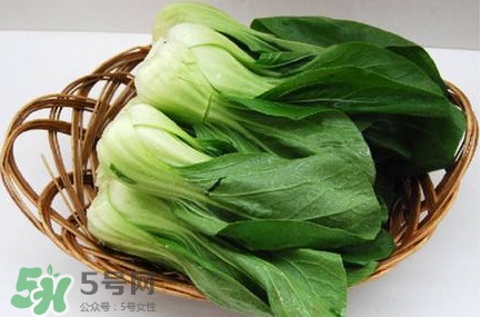 雞毛菜怎么種？雞毛菜的種植方法