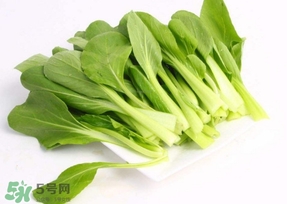 雞毛菜怎么種？雞毛菜的種植方法