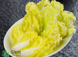 蠶豆和白菜能一起吃嗎？白菜和蠶豆能在一起吃嗎？