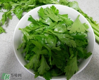 芹菜葉怎么吃？芹菜葉吃法