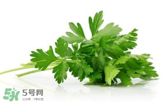 芹菜葉能吃嗎？芹菜葉可以吃嗎