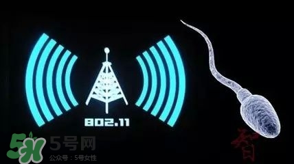 wifi殺精嗎？wifi殺精是真的嗎？