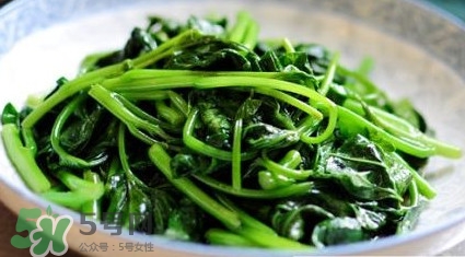 苕尖是發(fā)物嗎？苕尖是不是發(fā)物