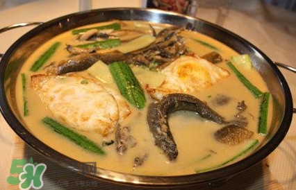 泥鰍怎么燒？泥鰍的吃法