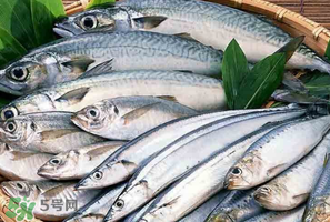 2017鲅魚多少錢一斤？鲅魚多少錢一斤2017？
