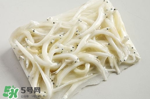 面條魚是什么魚？面條魚是海水魚嗎