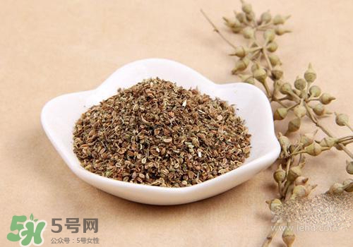 吃中藥可以吃魚？吃中藥吃魚會怎么樣？