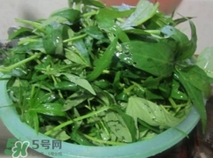 番薯葉怎么種？怎樣種番薯葉
