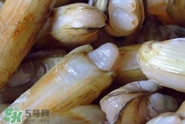 蟶子是海鮮嗎？蟶子是海鮮還是河鮮