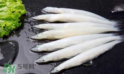 面條魚有刺嗎？面條魚有鱗嗎