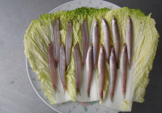 青島面條魚是什么魚？青島面條魚叫什么