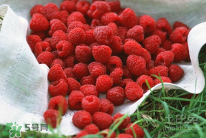 刺泡怎么保存？刺泡保存方法