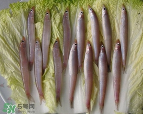 青島面條魚是什么魚？青島面條魚叫什么