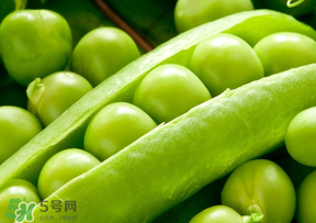 豌豆能放在冰箱嗎？豌豆放冰箱怎么保存？