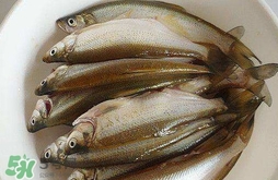 白條魚怎么做好吃？白條魚怎么吃好吃